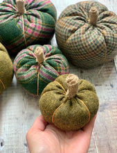 Tweed Pumpkins